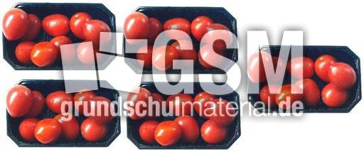 Tomaten-5x9B.jpg